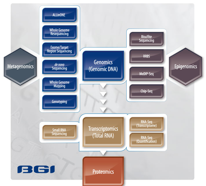 BGI Service Matrix