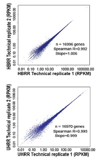 RNA Seq