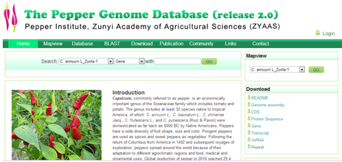 pepper genome