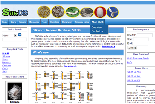 silk database