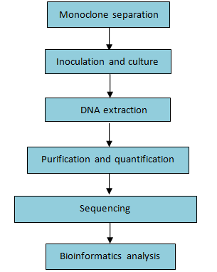 BAC Fosmid Workflow