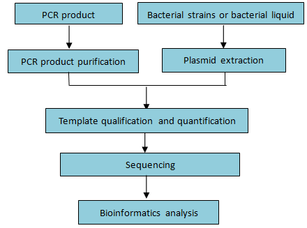 simple sample workflow