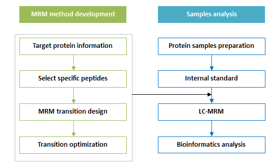 MGM workflow