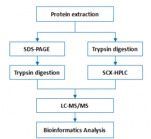 proteome profiling_tech