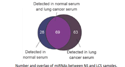 small_rna_case2_2