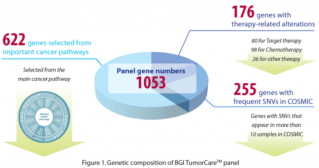 tumor care 1